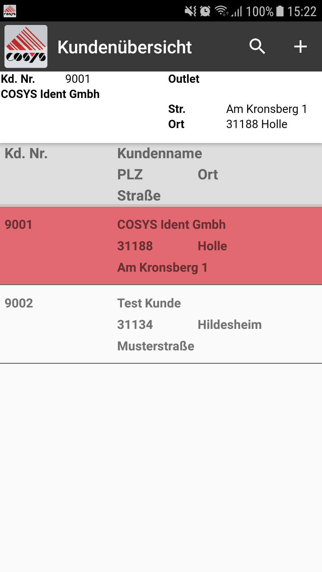 Verkaufsfahrer