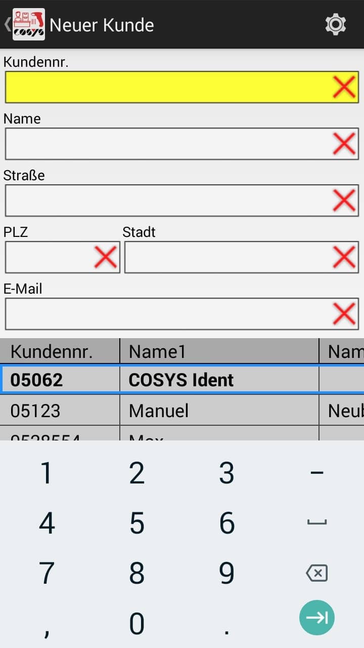 Wareneingang Artikelübersicht Android Software von COSYS